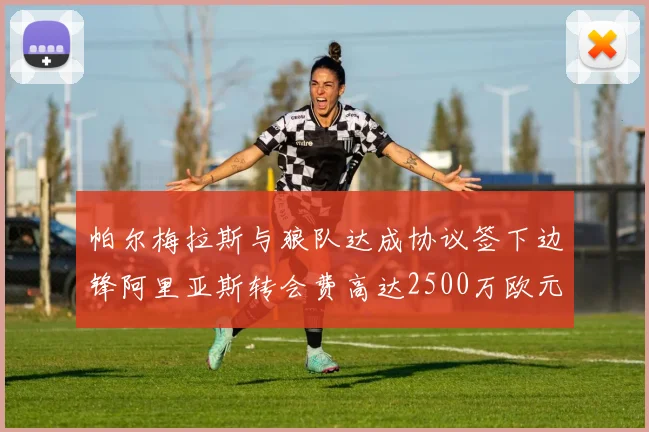 帕尔梅拉斯与狼队达成协议签下边锋阿里亚斯转会费高达2500万欧元