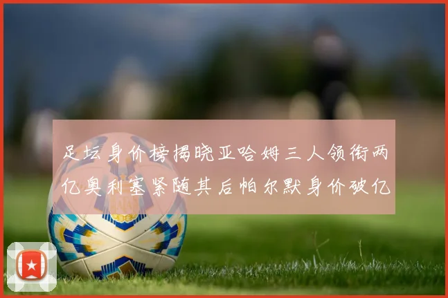 足坛身价榜揭晓亚哈姆三人领衔两亿奥利塞紧随其后帕尔默身价破亿